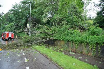Nuertingen: Umgestuerzter Baum versperrt Berliner Strasse im Rossdorf